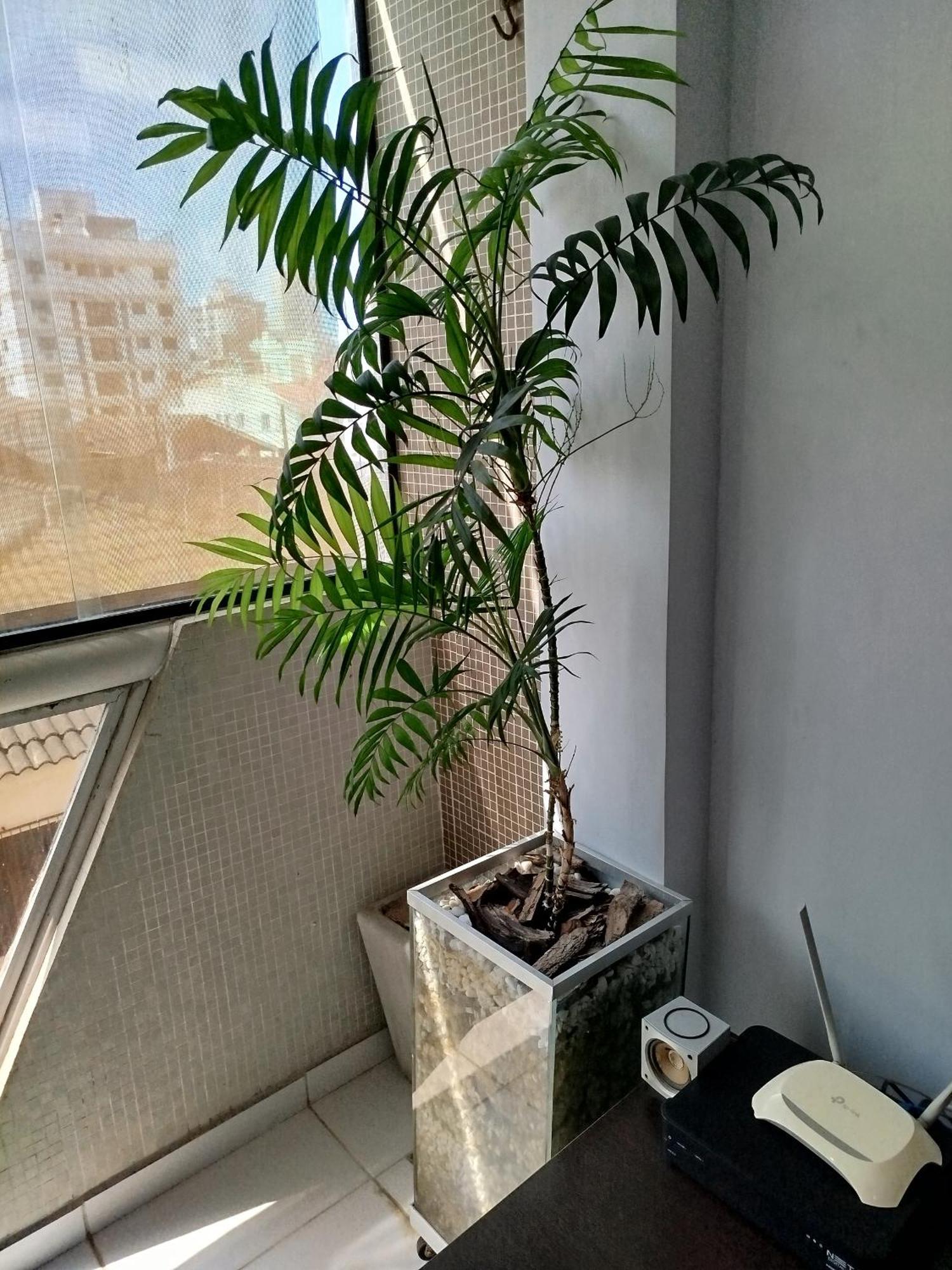 Apartamento Impecavel Na Enseada 과루자 외부 사진